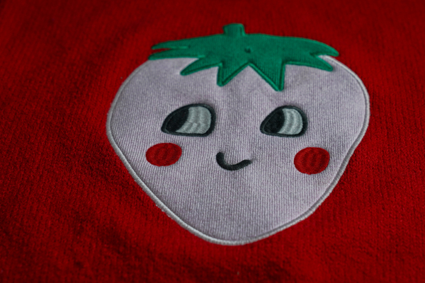 Applique Embroidery